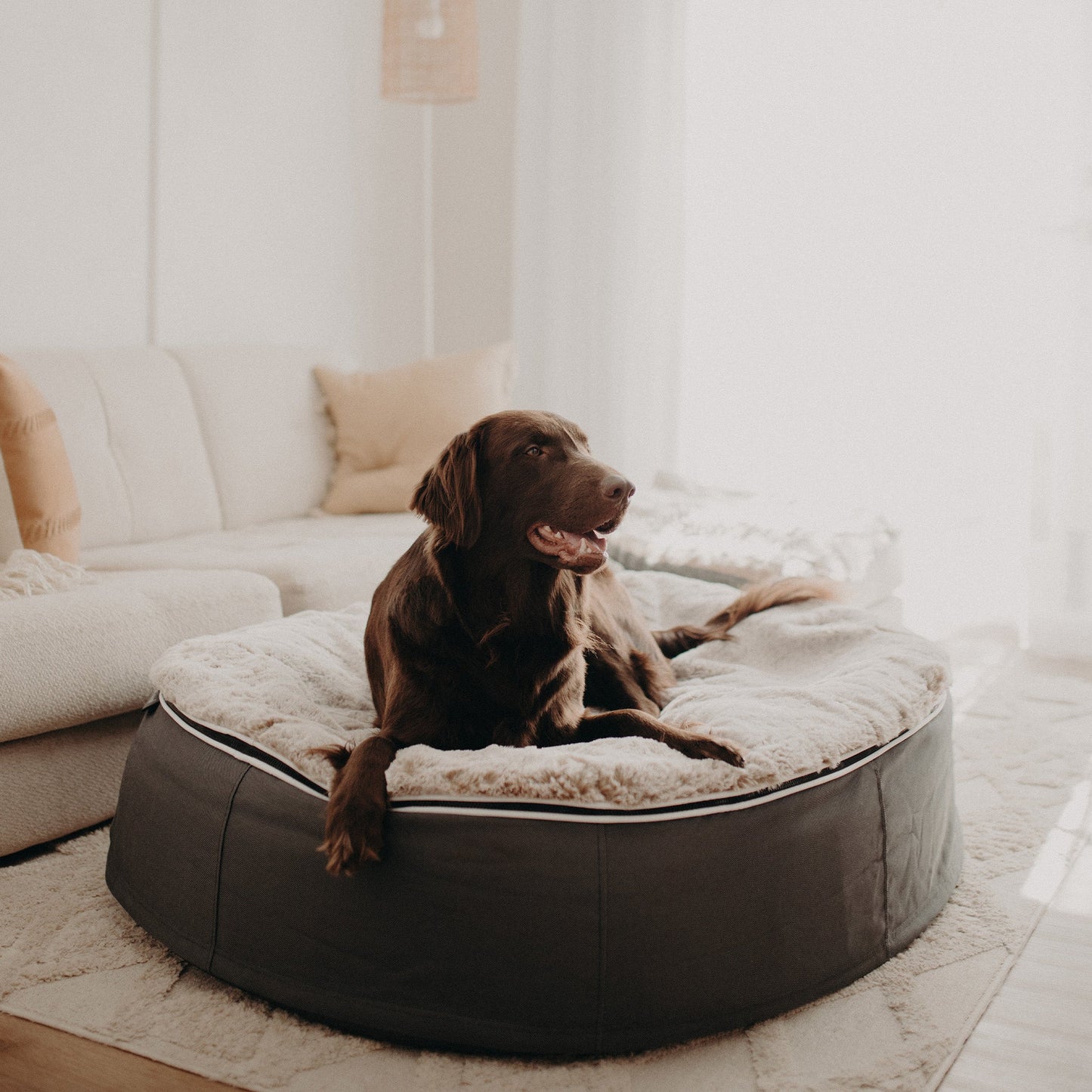 Large Rebound Foam Mattress Dog Bed - Interior/Outdoor