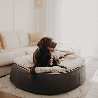 Large Rebound Foam Mattress Dog Bed - Interior/Outdoor