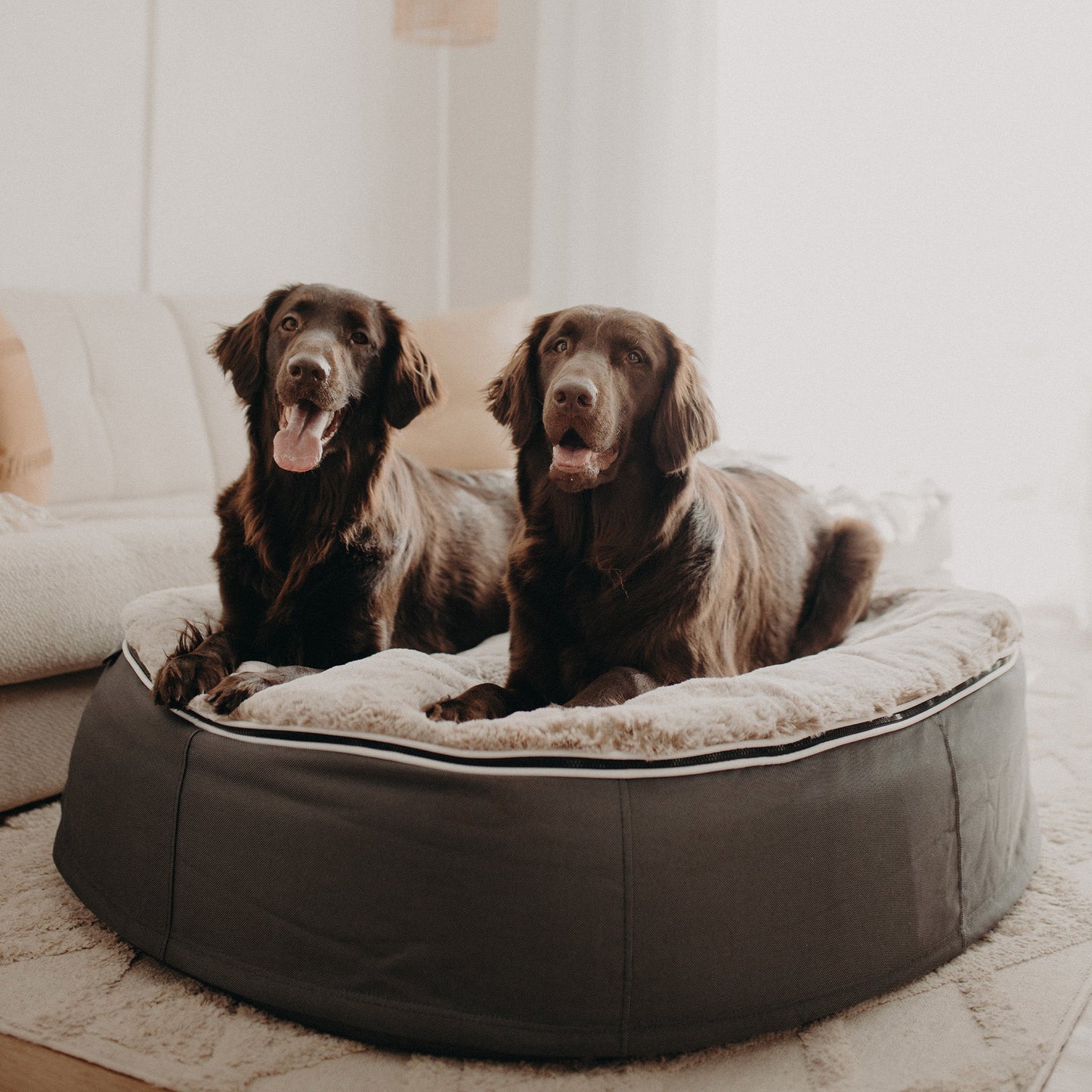 Large Rebound Foam Mattress Dog Bed - Interior/Outdoor