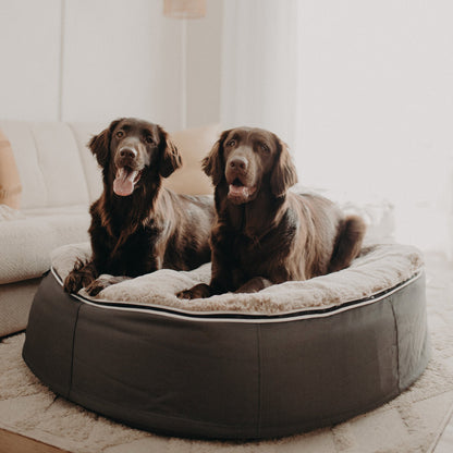 Large Rebound Foam Mattress Dog Bed - Interior/Outdoor