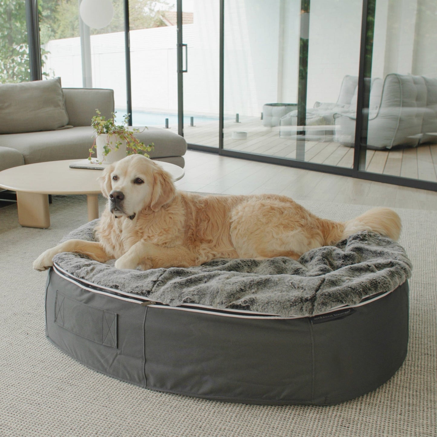 Large Rebound Foam Mattress Dog Bed - Interior/Outdoor