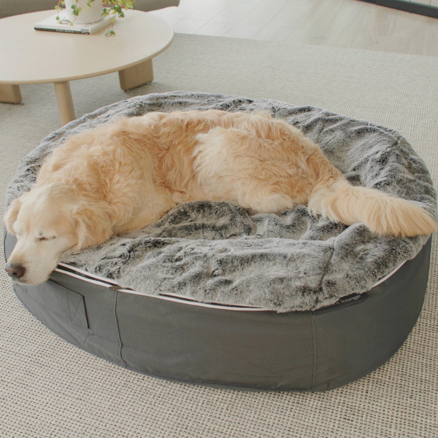 Large Rebound Foam Mattress Dog Bed - Interior/Outdoor