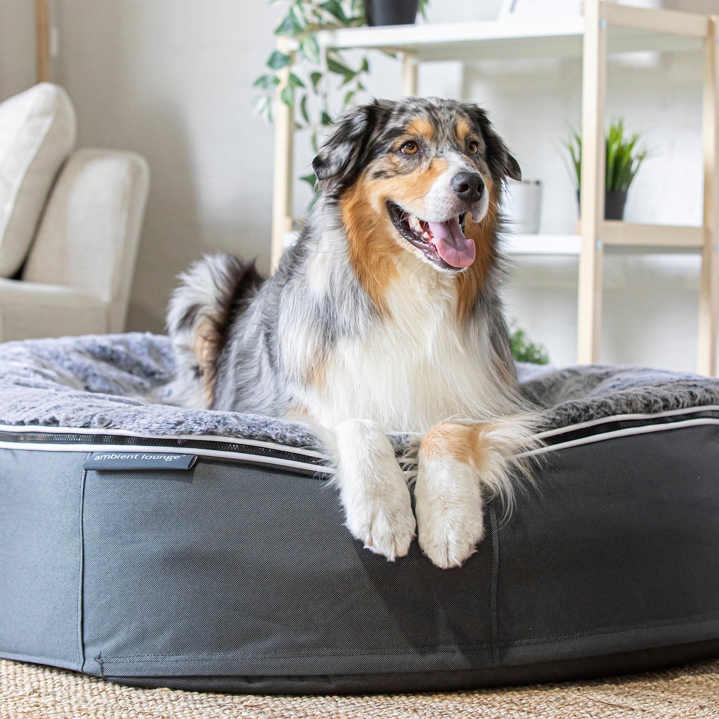 Large Rebound Foam Mattress Dog Bed - Interior/Outdoor