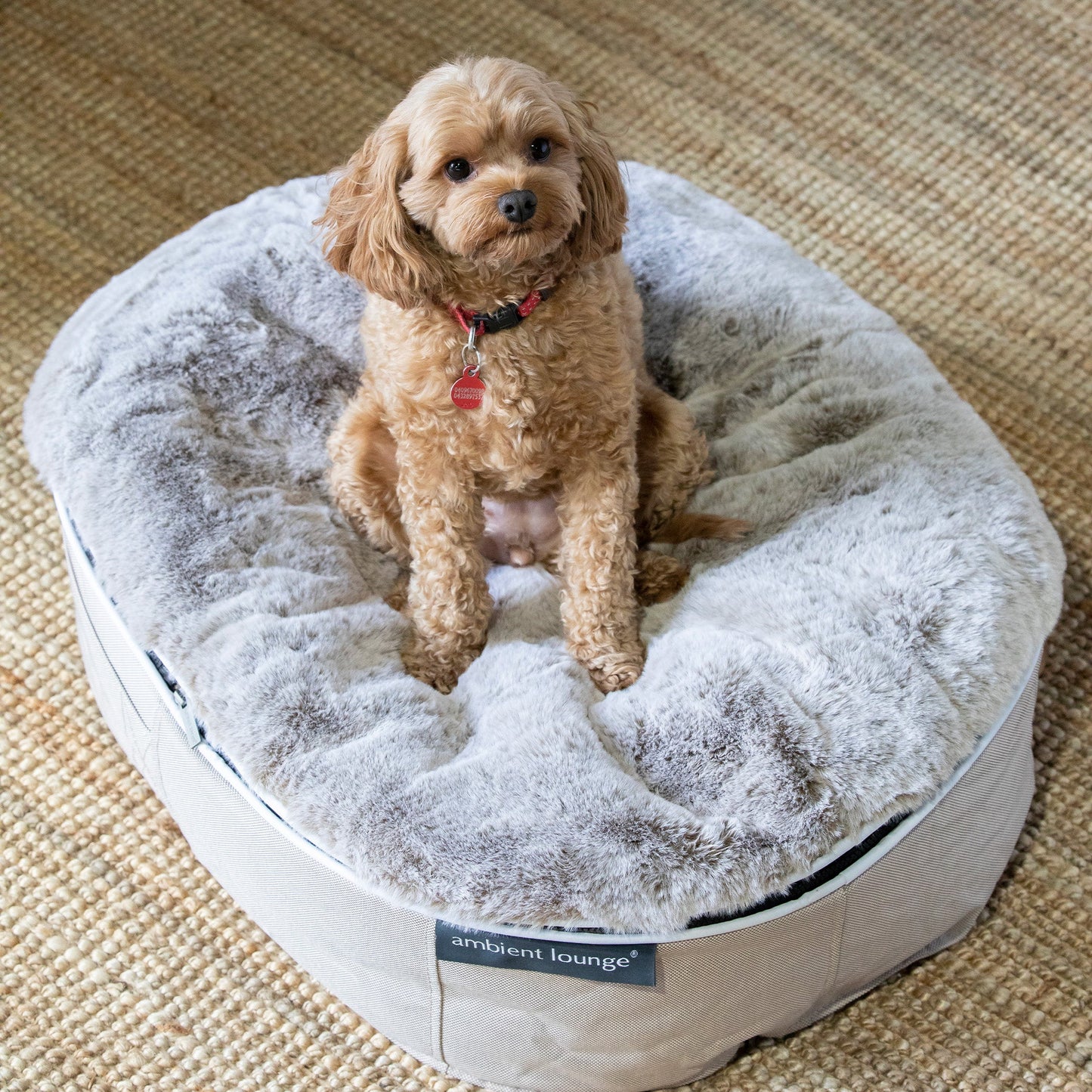 Medium Rebound Foam Mattress Dog Bed - Interior/Outdoor