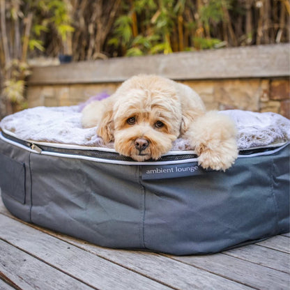 Medium Rebound Foam Mattress Dog Bed - Interior/Outdoor