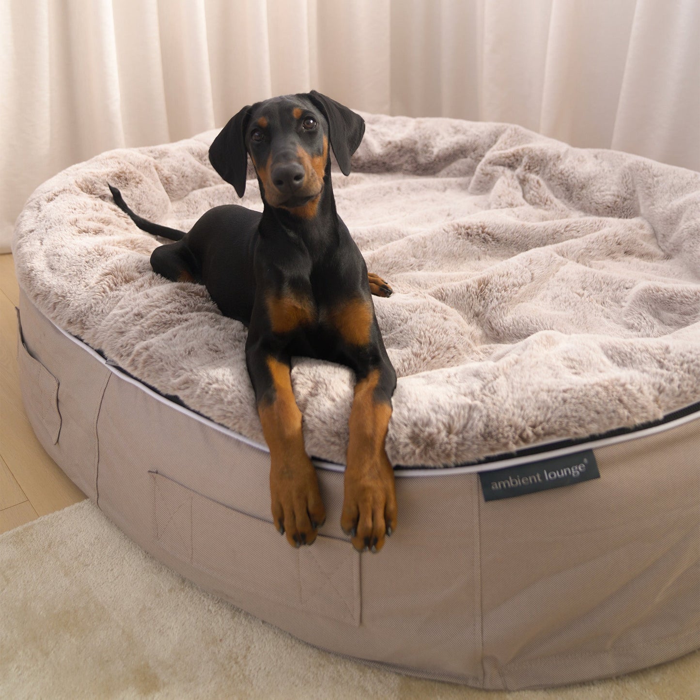 XXL Rebound Foam Mattress Dog Bed - Interior/Outdoor