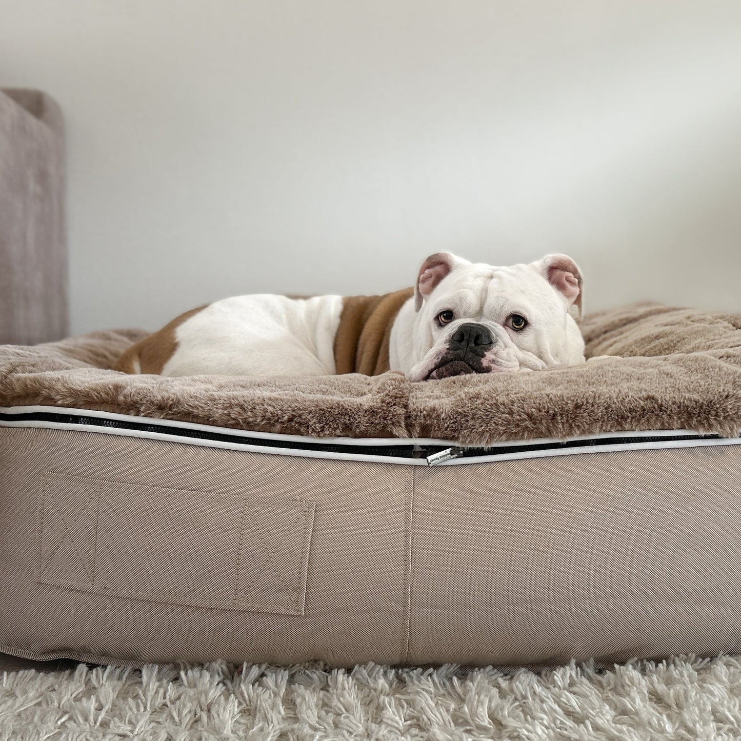 Large Rebound Foam Mattress Dog Bed - Interior/Outdoor