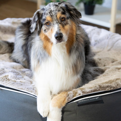 Large Rebound Foam Mattress Dog Bed - Interior/Outdoor