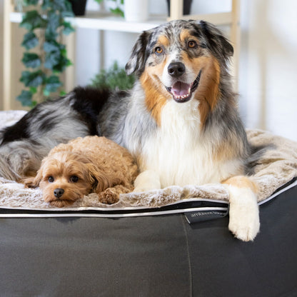 Large Rebound Foam Mattress Dog Bed - Interior/Outdoor
