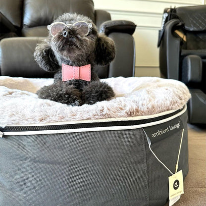 Medium Rebound Foam Mattress Dog Bed - Interior/Outdoor